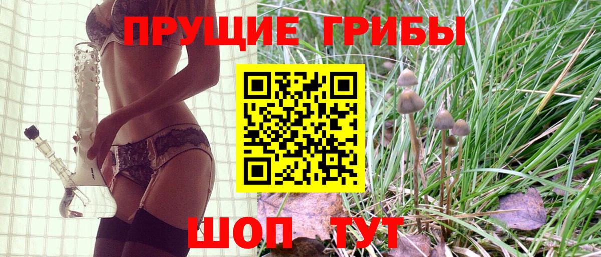 Галлюциногенные грибы Magic Shrooms Гусиноозёрск